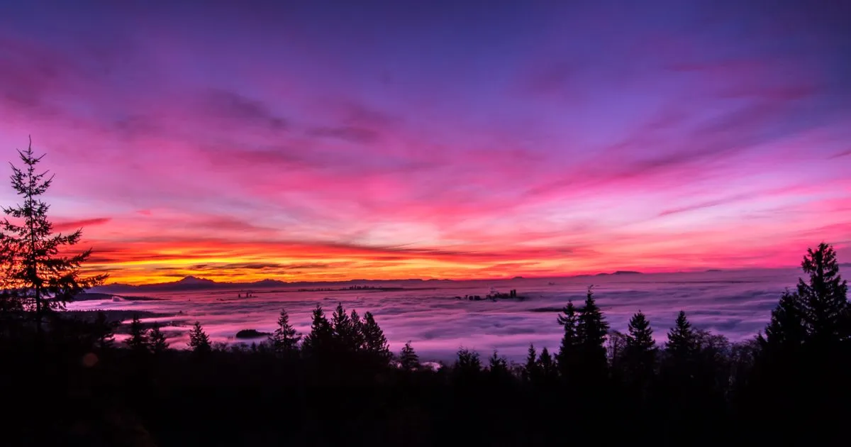 Best Neighbourhoods in Vancouver for Families (2026 Edition)