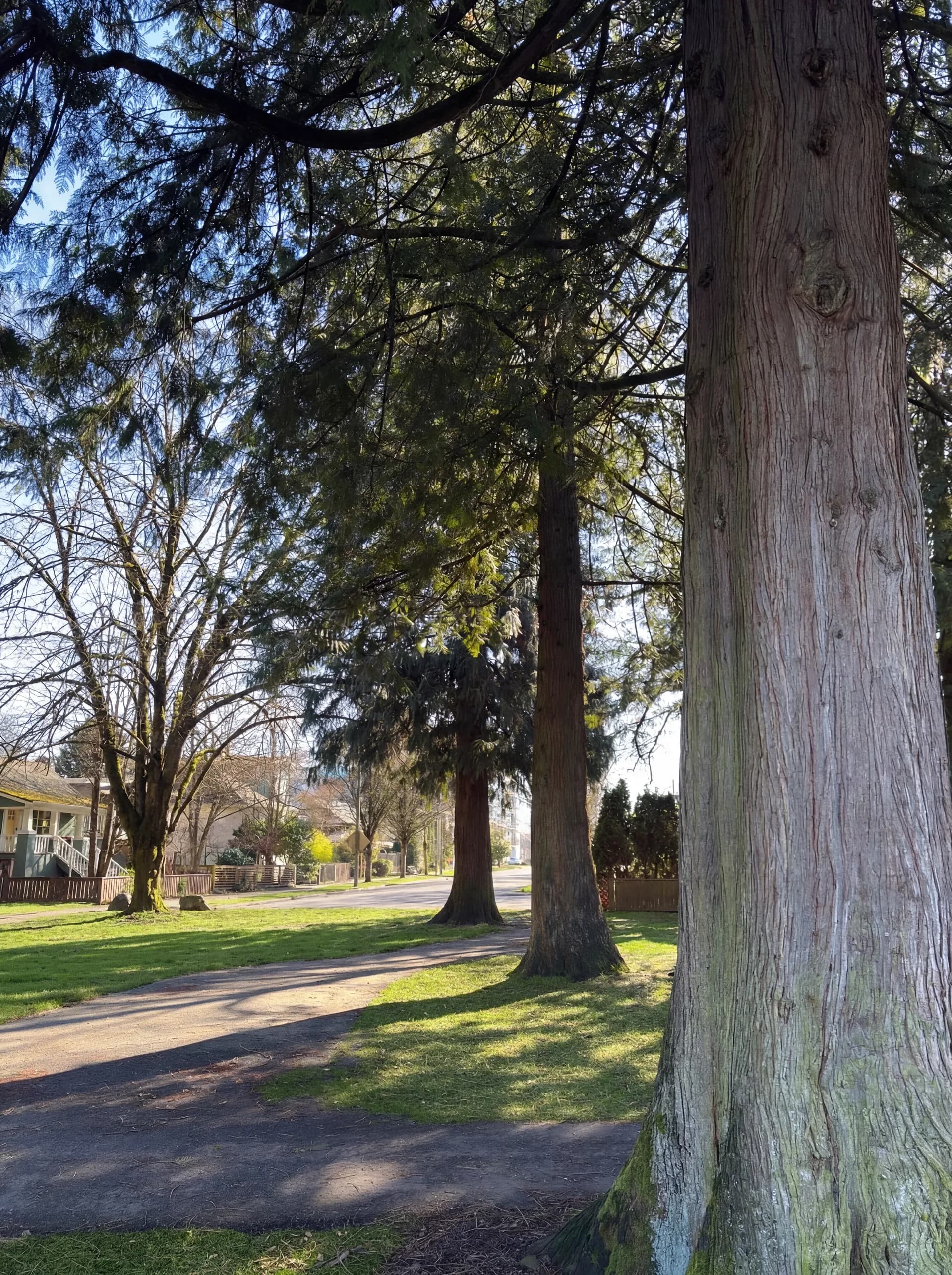 Killarney Vancouver